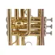 Amadeus Bb CO420 Monel