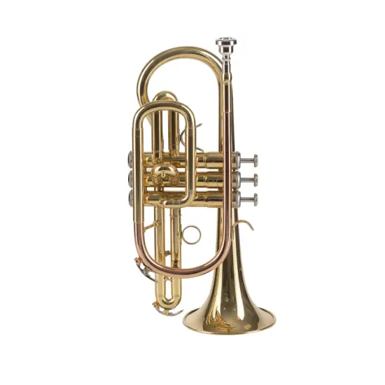 Amadeus Bb CO420 Monel