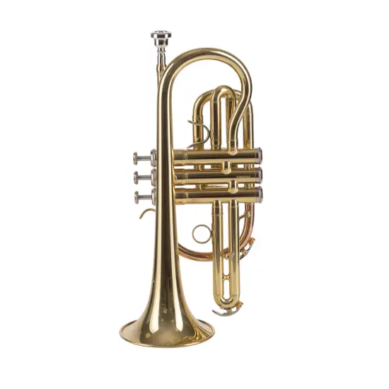 Amadeus Bb CO420 Monel