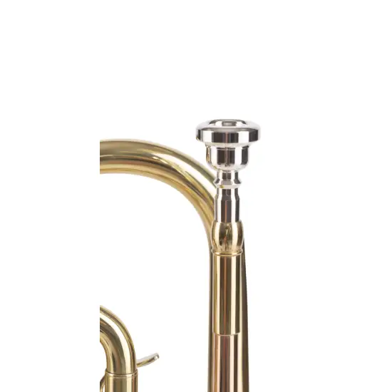 Amadeus Bb CO420 Monel