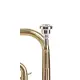 Amadeus Bb CO420 Monel