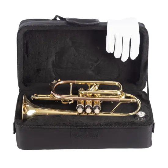 Amadeus Bb CO420 Monel