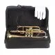 Amadeus Bb CO420 Monel