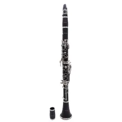 Amadeus Bb CL418