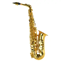 Amadeus AL850 Lacado