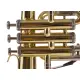 Amadeus FLH450 Lacado