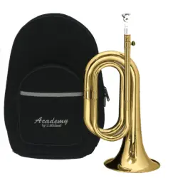 Amadeus ACT302