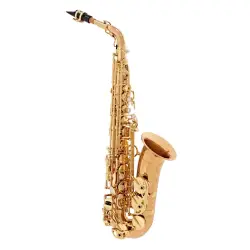 Yanagisawa A-WO20 Elite Bronze