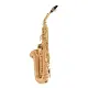 Yanagisawa A-WO20 Elite Bronze