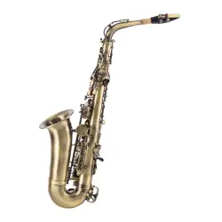 Amadeus AL860 Antiguo