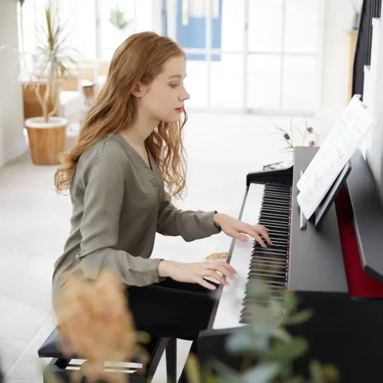 Casio Celviano AP 470 BK
