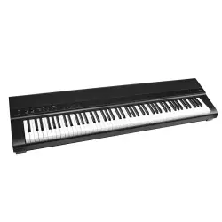 Medeli Performer Series SP201