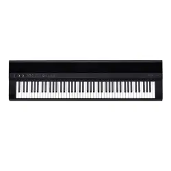 Medeli Performer Series SP201 Plus