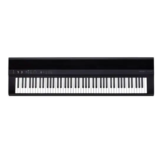 Medeli Performer Series SP201 Plus