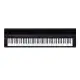 Medeli Performer Series SP201 Plus