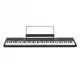 Alesis Concert