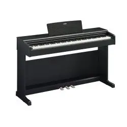 Yamaha Arius YDP 145 B
