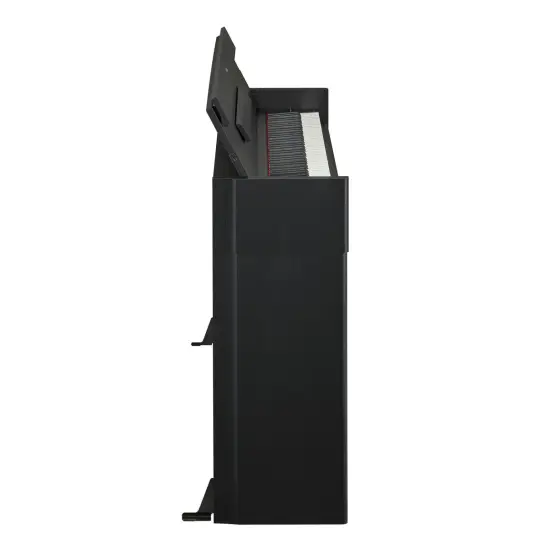 Yamaha Arius YDP S55 B