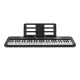 Casio Casiotone LK S250