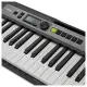 Casio Casiotone LK S250