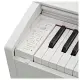 Casio Privia PX 770 WE