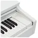 Casio Celviano AP 270 WE