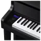 Casio Celviano Grand Hybrid GP 310 BK