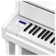 Casio Celviano Grand Hybrid GP 310 WE