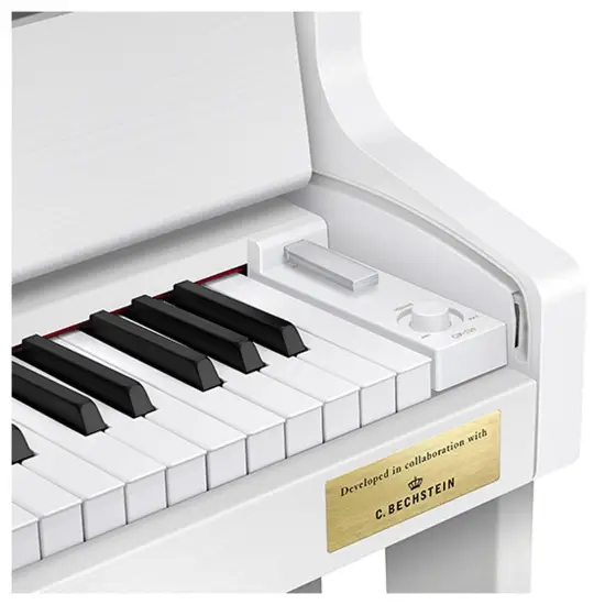 Casio Celviano Grand Hybrid GP 310 WE