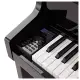 Casio Celviano Grand Hybrid GP 510