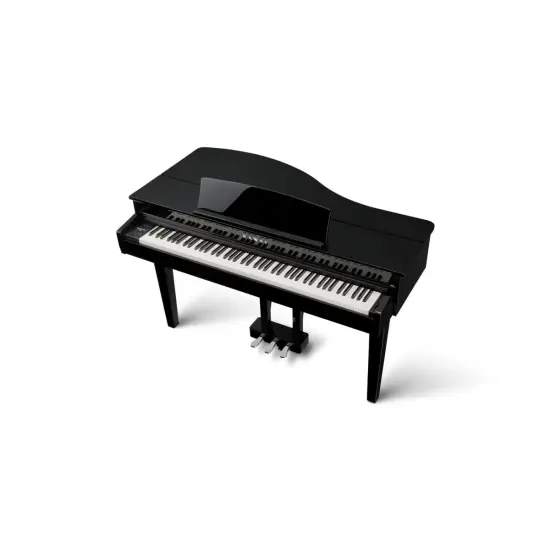Kawai DG30 Ebony Polish