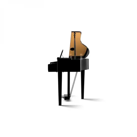 Kawai DG30 Ebony Polish