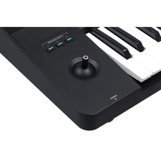 Medeli Pro Series AKX10