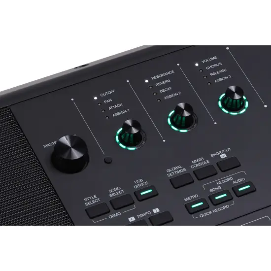 Medeli Pro Series AKX10