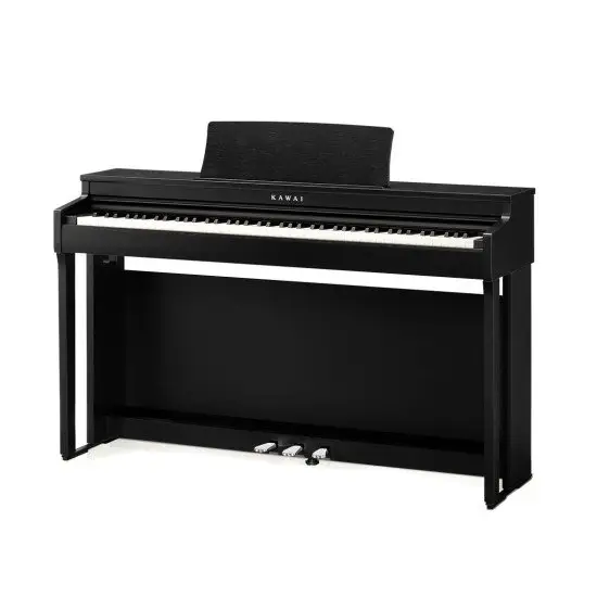 Kawai CN 201 Black