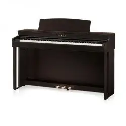 Kawai CN 301R