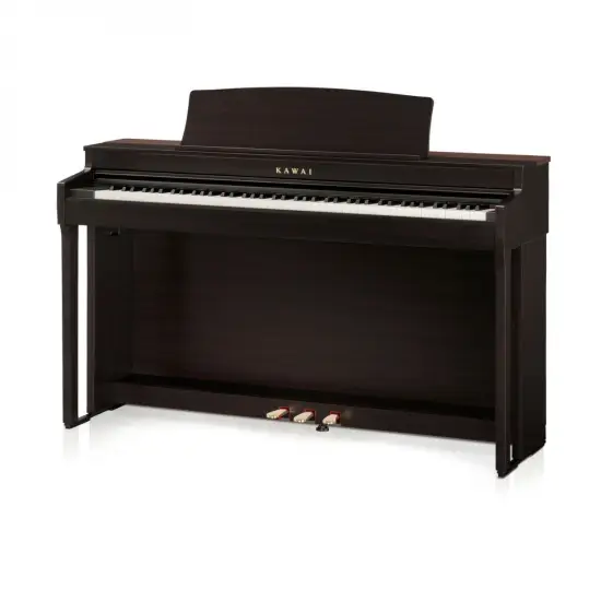Kawai CN 301R