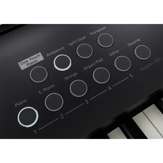 Roland FP E50 BK
