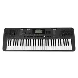 Medeli Millenium Series MK100