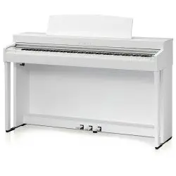 Kawai Kawai CN 301 W