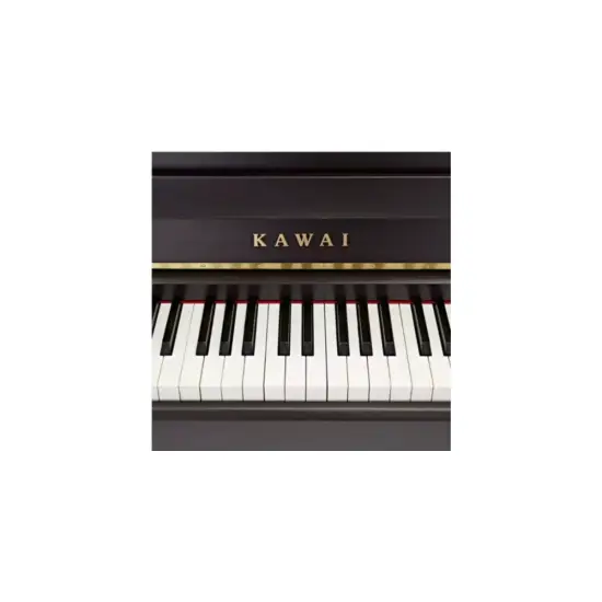 Kawai CA 901 R