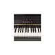Kawai CA 901 R
