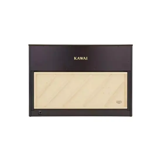 Kawai CA 901 R