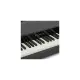 Kawai VPC1