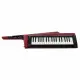 Korg RK 100S 2 Red