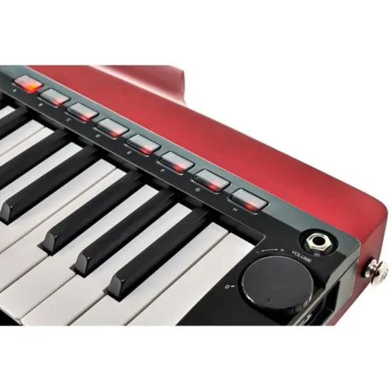 Korg RK 100S 2 Red