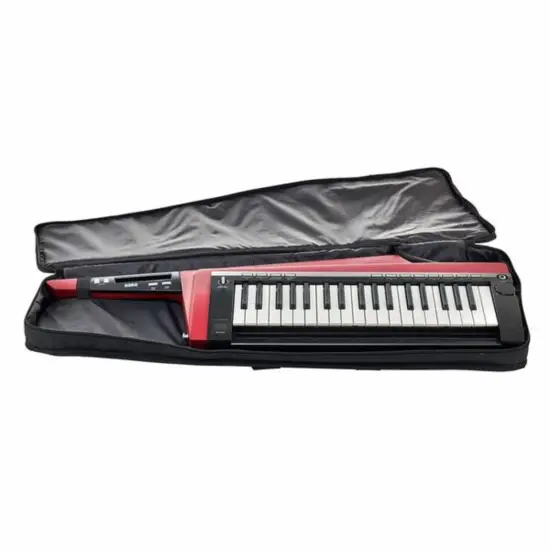 Korg RK 100S 2 Red