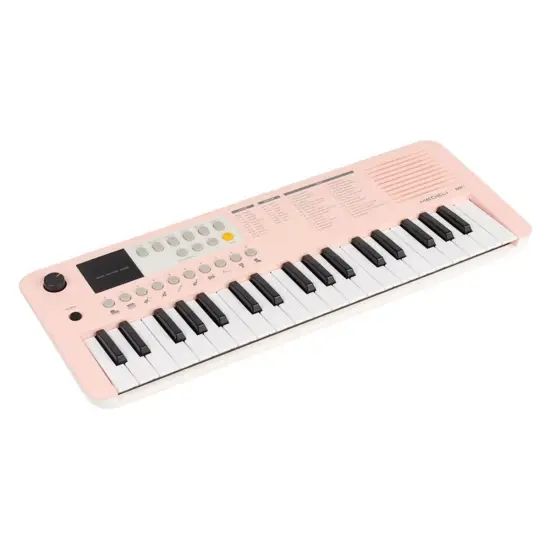 Medeli MK1 PK