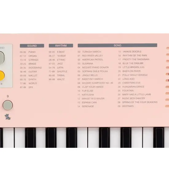 Medeli MK1 PK