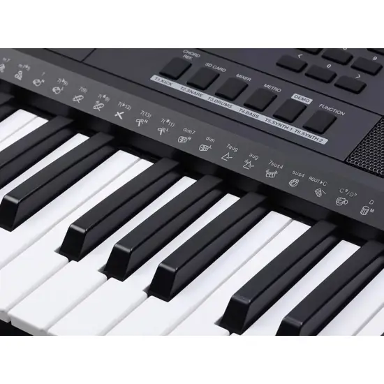 Medeli Millenium Series MK401